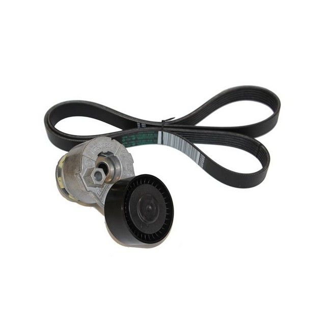 MAIS 117203694R-V KAYIS SETİ (KAYIS+RULMAN SET) RENAULT LATİTUDE 1.5 DCI > 117203694R///-3075